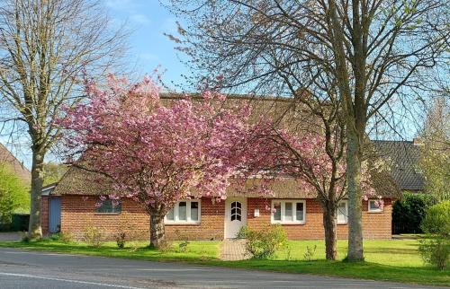 Bordelum Apartment | Entspannung unter Reet