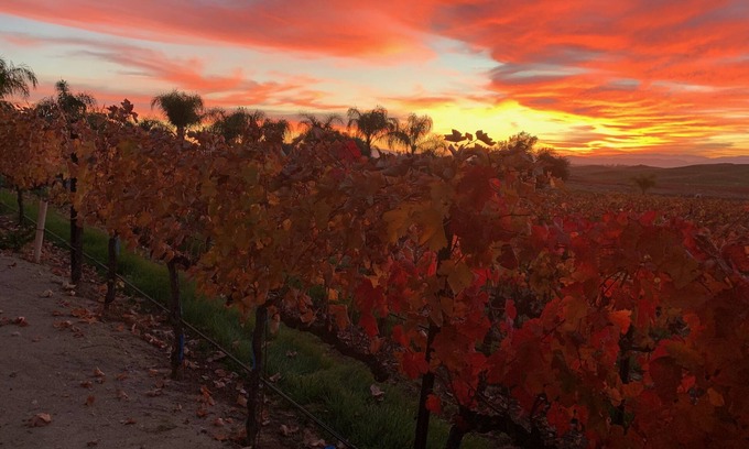 Temecula Apartment | Escape to a wine estate