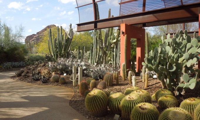 South Scottsdale Resort | Escape to the Great Outdoors! 2 Serene Units, Minutes to Golf, Camelback Mtn.