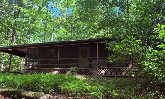Hayesville Cabin | Escape to the Hepp’s Hideaway!