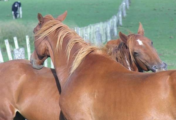 Florida House | Estancia Hosteria El Ceibo