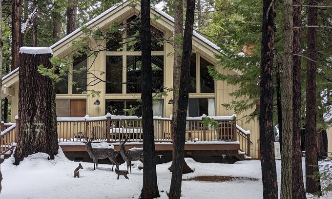 Dorrington Cabin | Evergreen Pinecone Cottage Hot Tub Firepit, Espresso, Couples Love It!