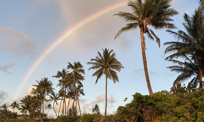 Waialee Apartment | Exceptionally Pristine Haleiwa North Shore Beachside Retreat