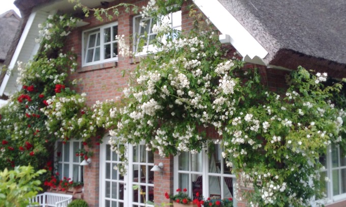 Pantow House | Exclusive 5-star vacation home under thatch - directly near Binz