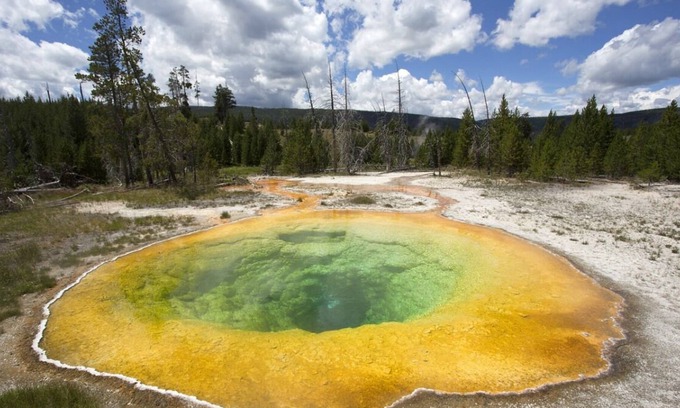 Cody House | Explore History! 3 Great Units, Outdoor Pool, FREE Parking and Airport Shuttle!