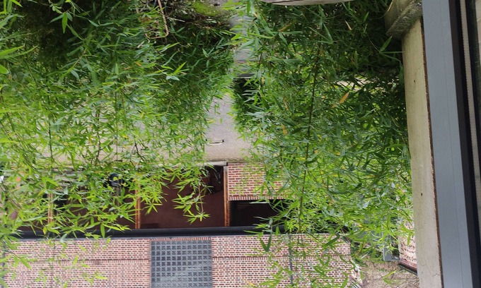 Gare-Jouvenet Apartment | F2, very quiet & functional, 2 ROOMS RdJ (near TOWN CENTER & RAILWAY STATION Rouen & MUSEUMS,
