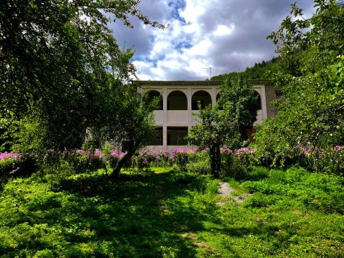 Racha-Lechkhumi and Lower Svaneti House | Family Hotel - White House Racha