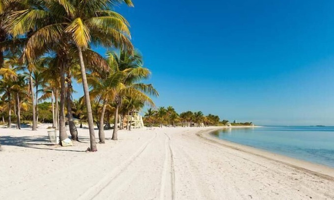 Key Biscayne Apartment | Fantastic Adventure In Key Biscayne! Outdoor Swimming Pool, Steps To The Beach