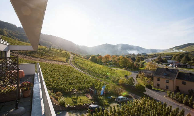 Senheim Apartment | Fantastic Mosel view from the apartment "Pinot Noir Cabinet", near Cochem
