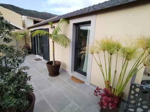 Machico House | Favinha Rooftop