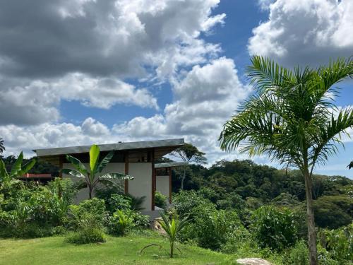 Aritagua Cabin | Fazenda 101