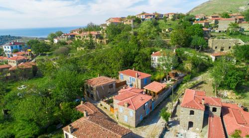 Gokceada Bed & Breakfast | Feride Fonksiyonel Yaşam