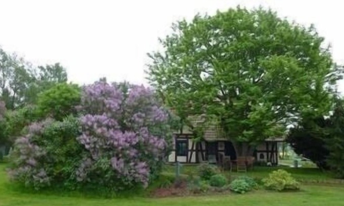 Sehlen Apartment | Ferienwohnung/app. für 5 Gäste mit 100m² in Sehlen