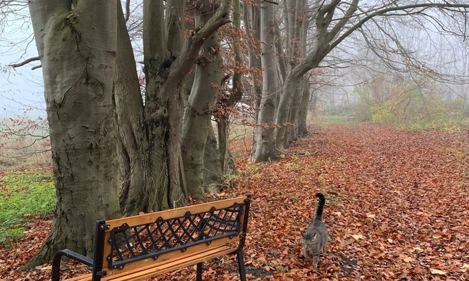 Suederholz Apartment | Ferienwohnung/app. für 4 Gäste mit 40m² in Süderholz