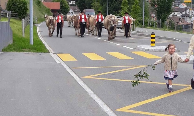 Rute Apartment | Ferienwohnung auf Zwei Etagen