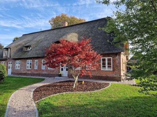 Rantrum Apartment | Ferienwohnung Friesenwind