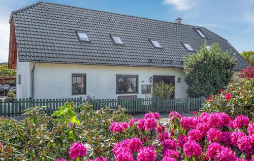 Ueckermuende Apartment | Ferienwohnung Ueckermünde