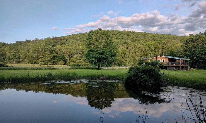 Fishs Eddy House | Fern Hollow Country Home