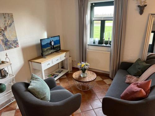 Dargun Apartment | FeWo Wollin Mecklenburg Pool Alte Schule Barlin