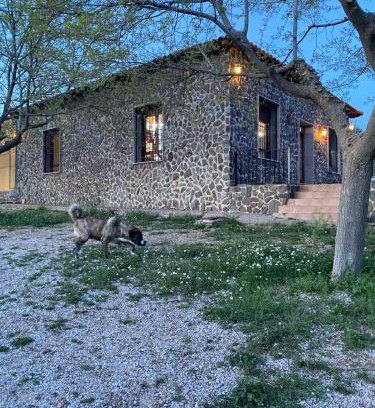 La Solana House | FINCA EL CERRO