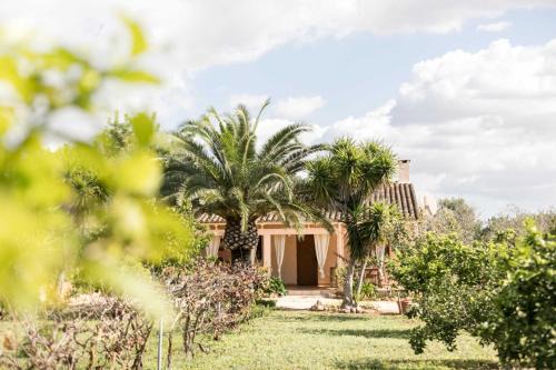Son Antem House | Finca Flora Cas Nets