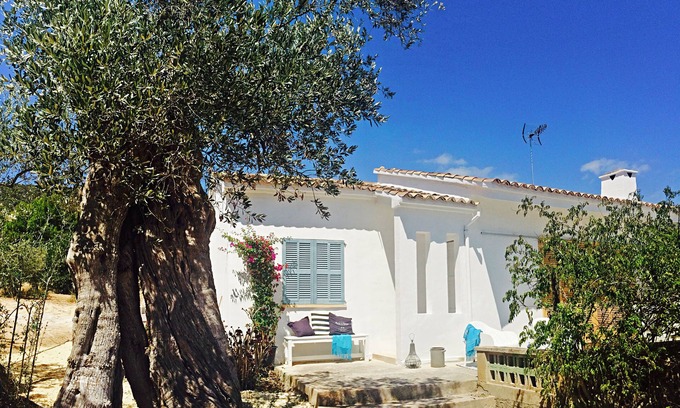 Biniamar House | Finca in the olive grove with mountain views and pool, central location