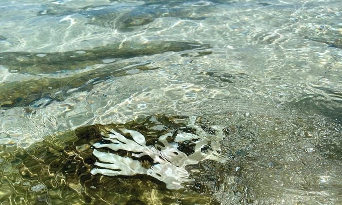 Kikai Island House | Firstclass rental accommodation in a singlestor /Oshimagun Kagoshima