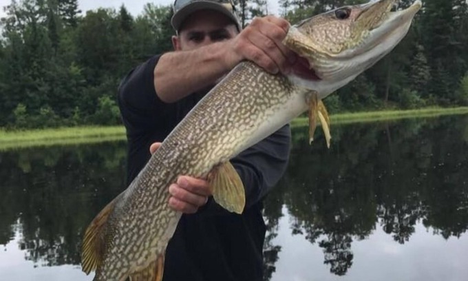 Ash River Cabin | fishing and hunting camp