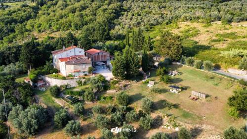 Villamagna Apartment | Florence Villa Violetta