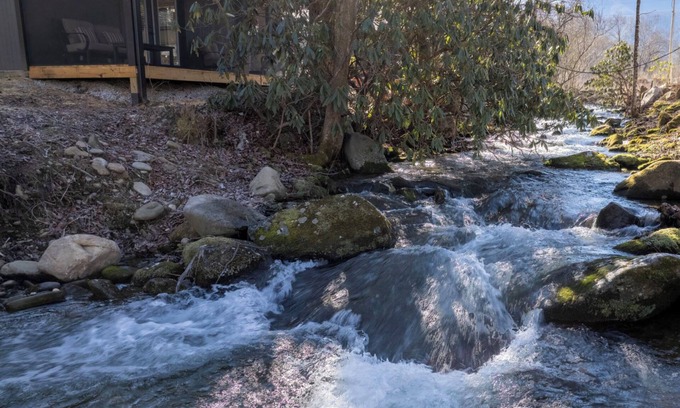 Cosby Cottage | Follies Cottage, Pickleball Court, Creek, WIFI, Mountain Views, Starting at $79"