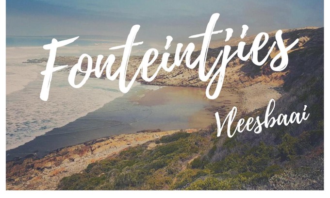 Vleesbaai House | Fonteintjies