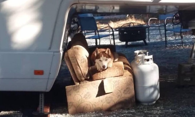 Kelsey House | Foothill Heaven, Pet friendly!