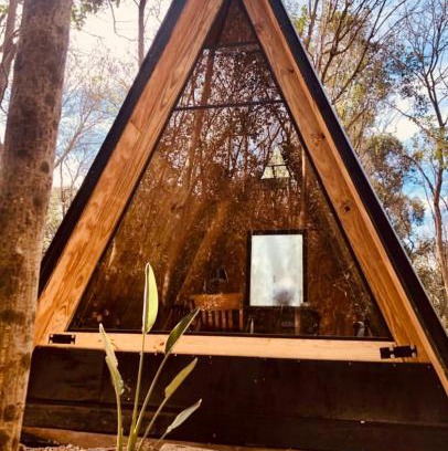 Gowland Other | Forest Glam