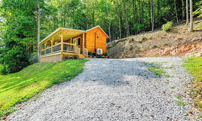 Franklin Cabin | Franklin Cabin w/Creek Access: Hike & Fish!