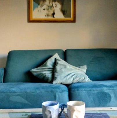 Krowodrza Apartment | Friedleina 7 Kamienica Prezydencka