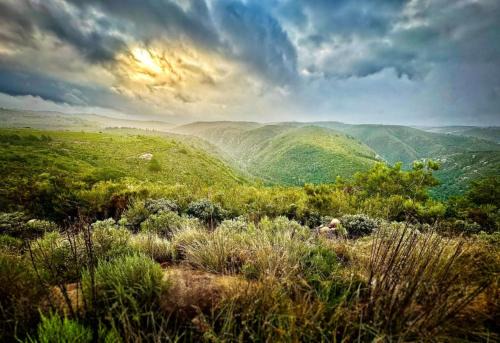 Brandwag Apartment | Fungamukaba Sanctuary - Stone Cottage