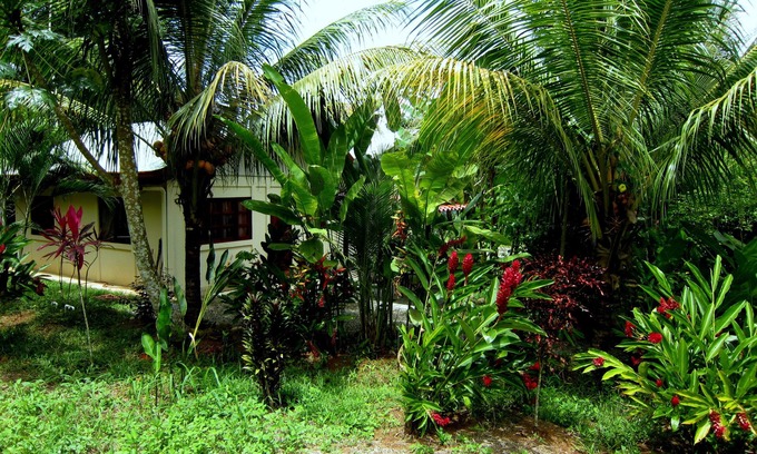 Baru House | Garden Cabina/Bungalow next to Nauyaka WaterFalls