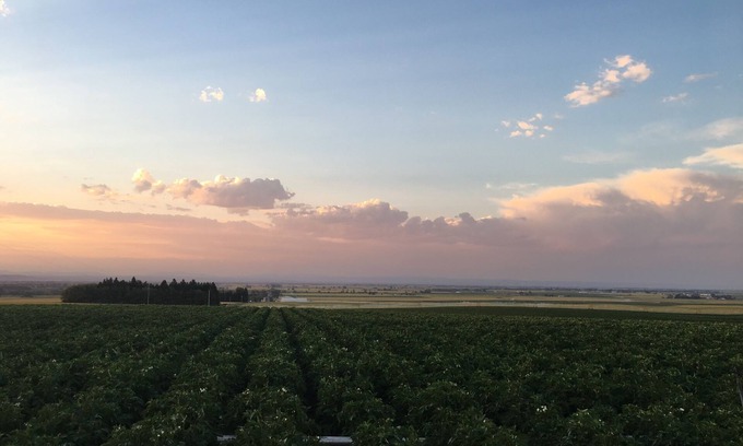 Rexburg House | Gather together in a rural farm home surrounded by rolling wheat & potato fields