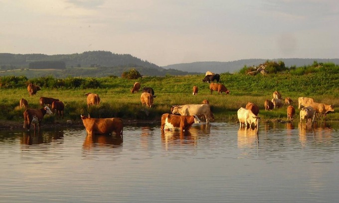 Corravillers Cottage | Gite Corravillers, 4 bedrooms, 8 persons