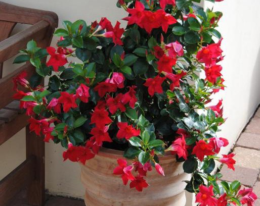 Bottrop Apartment | Glück im Kohlenpott