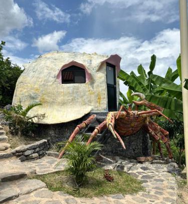 La Mesa Cabin | GLAMPING CARACOL-MUSEO DE MARAVILLAS DE LA VIDA MARINA, Basado en la vida del Mar