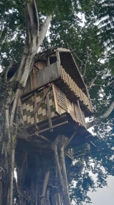 Tanna Island Apartment | Glowing Mountain view tree house