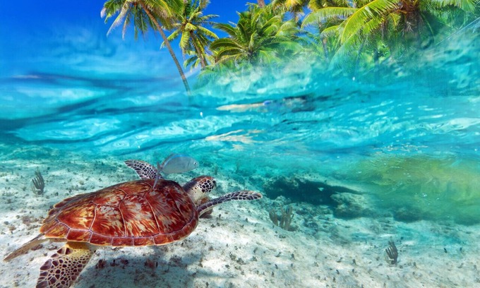 Kahuku Apartment | Golf Course Serenity at Turtle Bay, near beach