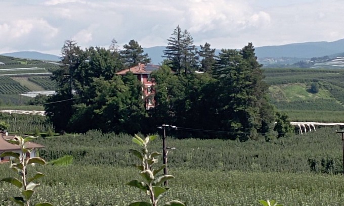 Terres House | Gorgeous apartment in villa with private forest - Brenta Dolomites Park