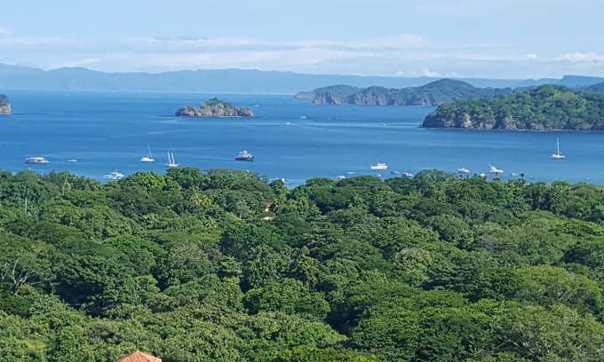 Coco Condo | Gorgeous Ocean View Condo in CoCo Bay Estates