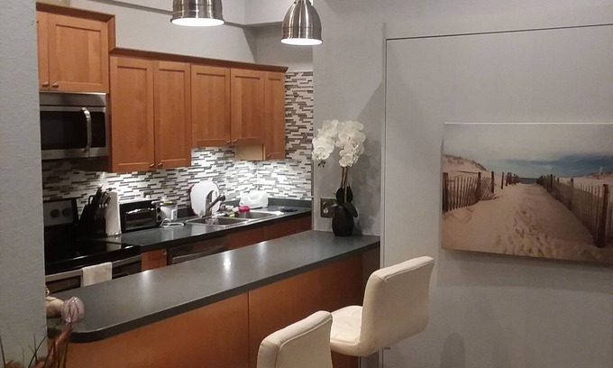 St. Petersburg Condo | Gorgeous St Pete prime location DT Condo with Bay views !