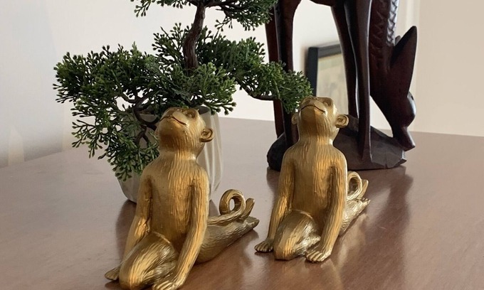 Las Palmas de Gran Canaria Apartment | Gran Canaria Suite