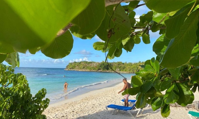 Samana Apartment | Great Palm View - Apartment 3 in Villa Coconut