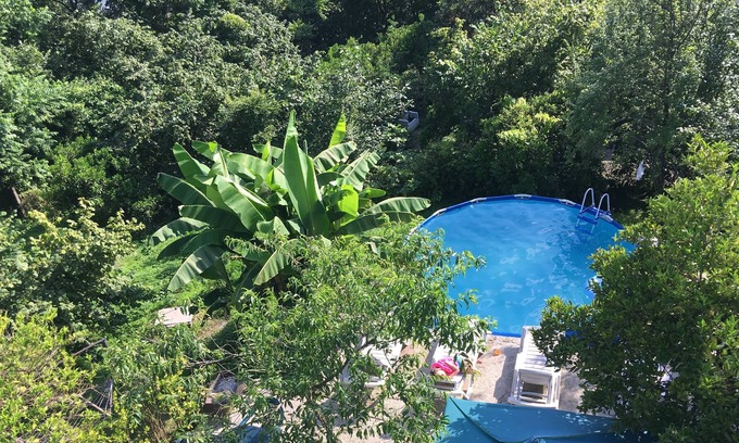 Mtsvane Kontskhi House | Green Cape Guest House