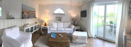 Welt House | Großer Wattläufer